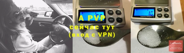 твердый Чита