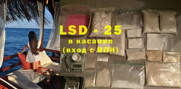 прущие грибы Архангельск