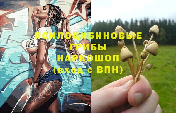 хмурый Краснотурьинск